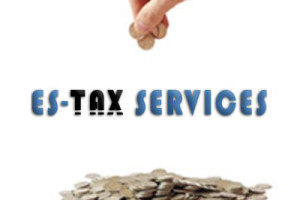 logo ES-TAX SERVICES